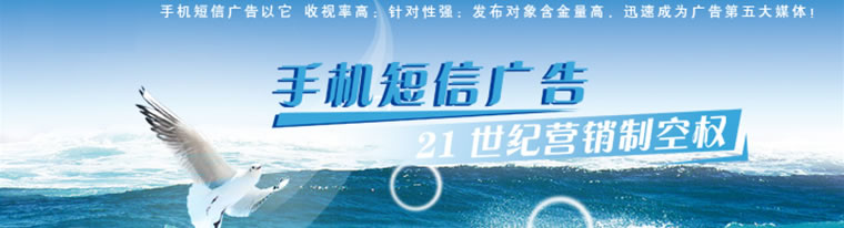 短信群發(fā)營(yíng)銷(xiāo)